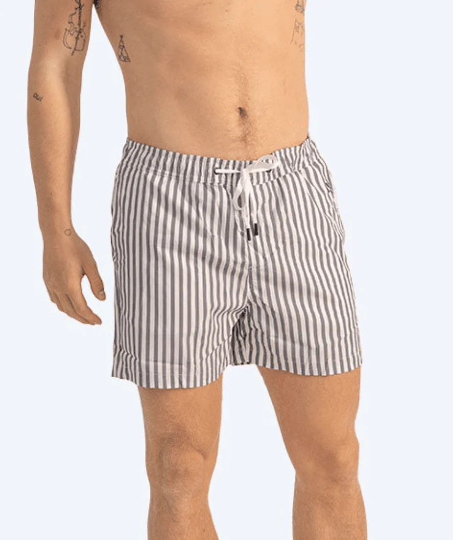 Miniatyr 1